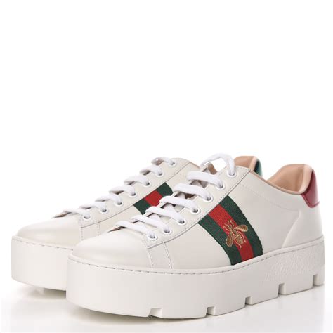 sneaker donna gucci